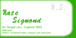 mate sigmond business card