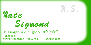 mate sigmond business card